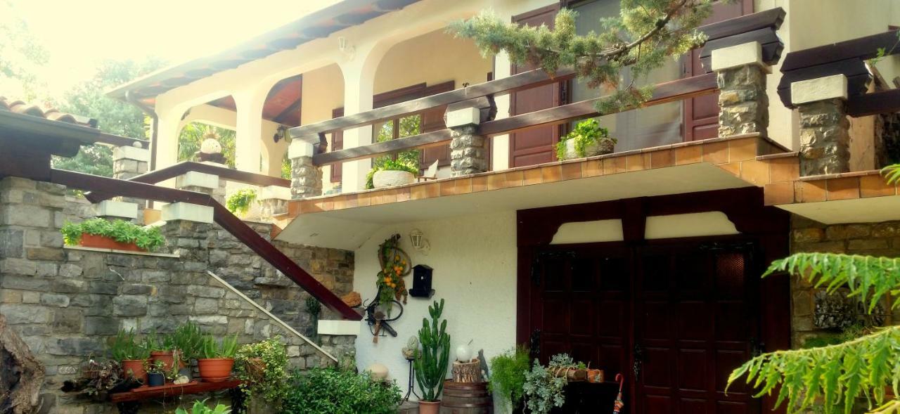 Apartment Slavi Vipava Ngoại thất bức ảnh