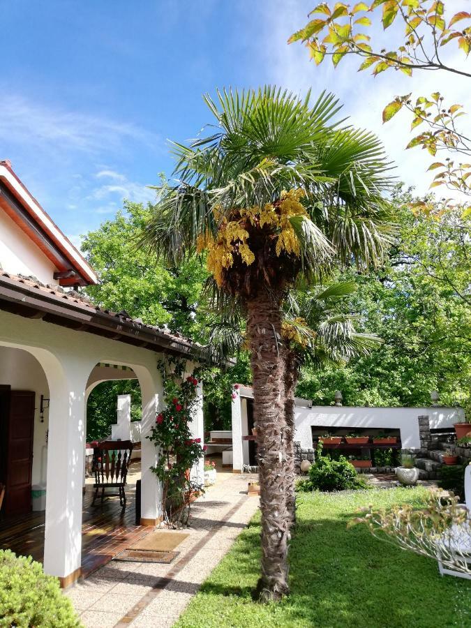 Apartment Slavi Vipava Ngoại thất bức ảnh