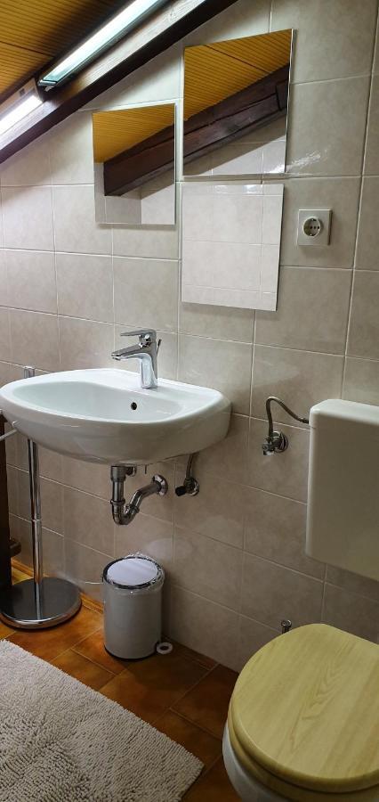 Apartment Slavi Vipava Ngoại thất bức ảnh